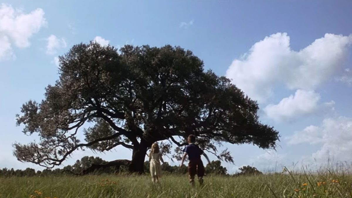 Forrest Gump | Filming Locations Guide